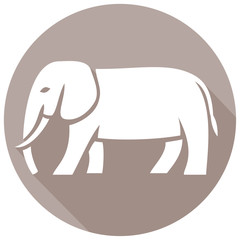 elephant flat icon