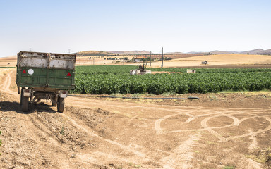 Trailer of a tractor in the field