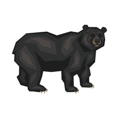 American black bear. Vector image of a predatory animal. Isolated on a white background.