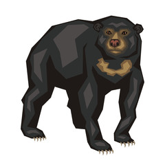 Malayan sun bear. Vector image of a predatory animal. Isolated on a white background.