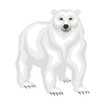 The great polar bear.  Vector image of a predatory animal. Isolated on a white background.