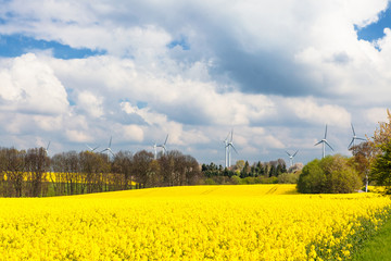 Bio- & Windenergie