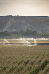 Watering systems and corn