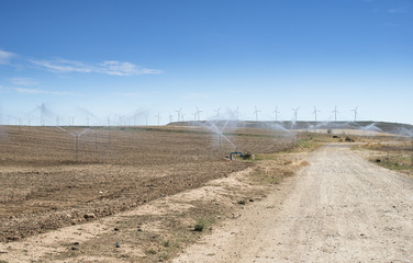Fototapeta na wymiar Irrigation sprayers in the field