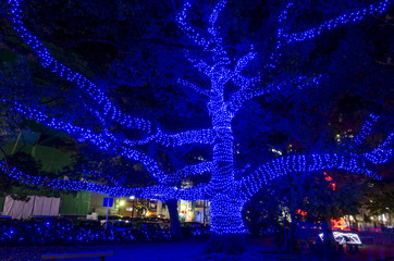 イルミネーション