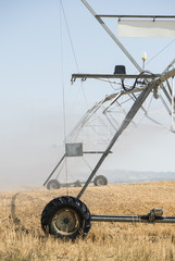 Irrigation sprayers in the field