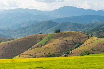 Obraz premium Chiang Mai rice terrace, Chiang Mai province