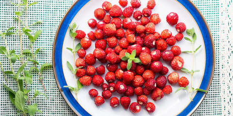 Wild strawberries on a plate. Banner