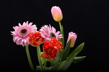 colorful bouquet of fresh spring tulips and gerbera flowers