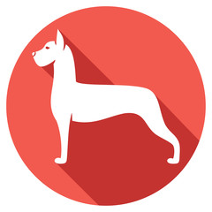 great dane dog flat icon