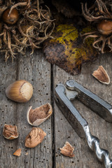 Haselnüsse mit Herbstlaub und einem Nussknacker auf einem alten Holzuntergrund