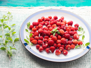 Wild strawberries on a plate. Angle view