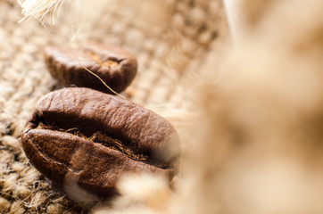 coffee beans