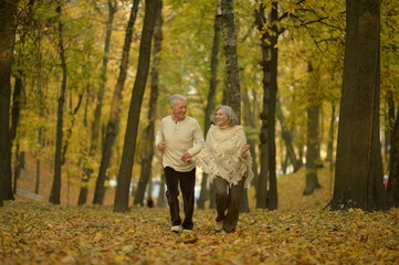 Fototapeta premium Senior couple in autumn park