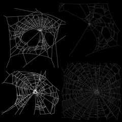 four white spider webs illustration