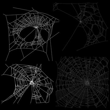 four white spider webs illustration
