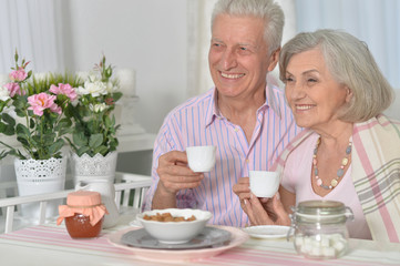 Obraz na płótnie Canvas Senior couple drinking tea 