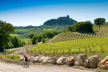Foto auf Glas Val d& 39 Orcia, Siena, Toskana, Italien - Ausflug mit dem Mountainbike © robertonencini