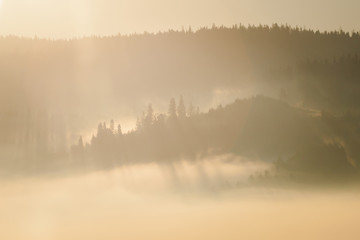 Beautiful sunrise fog in mountains