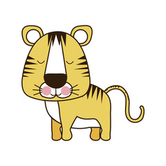 tiger cute animal icon image vector illustration design 