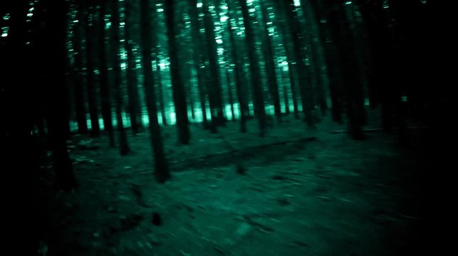 Running through the haunted horror forest.