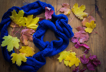 Autumn colorful leaves and blue scarf