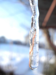 icicle