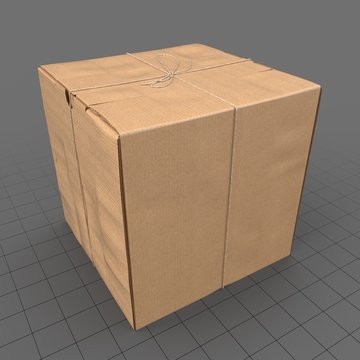 Cardboard Box 5