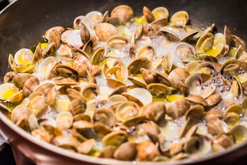 Cooking clams in a pan, Italian food tradition