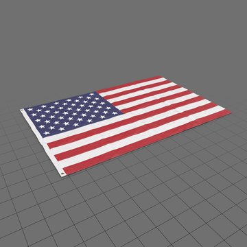 Flag USA 1