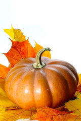 Isolated pumpkin with autumn leaves and white copyspace for text