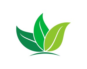 leaf logo 4 icon template