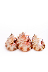 Raw tiger shrimp