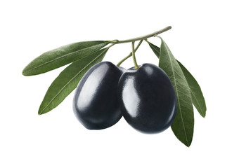 Black olives on branch isolated on white background