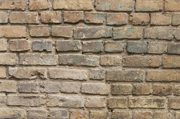 Fototapeta premium Old painted brick wall background texture