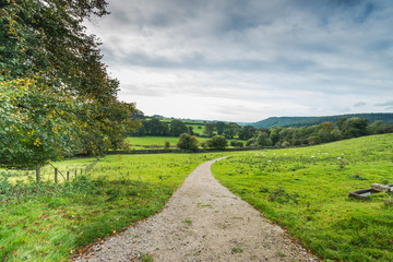 Rural road in english countryside, fall season