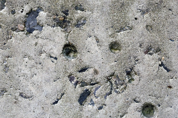 Grey Concrete Texture