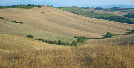 Fototapeta na wymiar Landscape of tuscan country , Tuscany Italy 