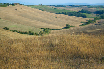 Landscape of tuscan country , Tuscany Italy 