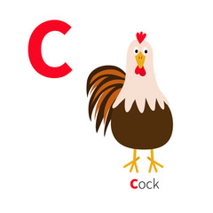 Letter C. Cock bird. Cute cartoon funny character with big feather tail. Baby farm animal collection. Zoo alphabet. English abc. Flat design. White background. Isolated.