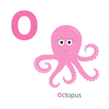 Letter O Octopus Zoo alphabet. Ocean See underwater life English abc with animals Education cards for kids Isolated White background Flat design