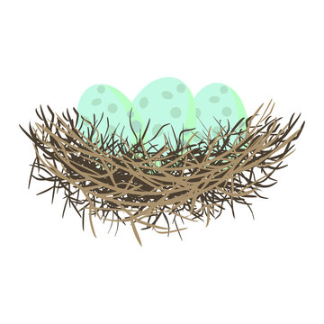 Green wild eggs in bird nest vector illustration.