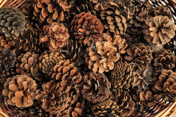 A basket full of dried pine cones background © Wilding