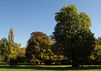 Fototapeta na wymiar Ausblick über den Grazer Stadtpark im Herbst