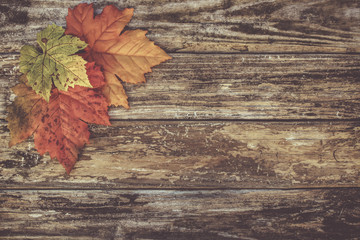 Image of Autumn Leaves Background
