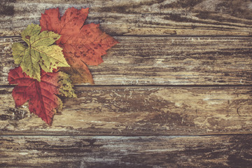Naklejka na ściany i meble Image of Autumn Leaves Background 