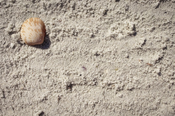 Image of a Sandy Beach Background
