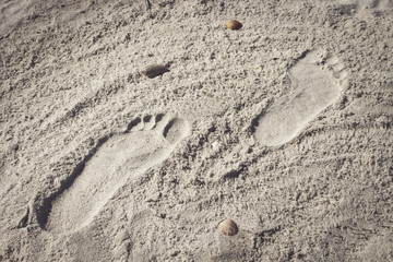 Fototapeta na wymiar Image of Footsteps on the Beach 