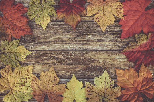 Image of Autumn Leaves Background Frame

