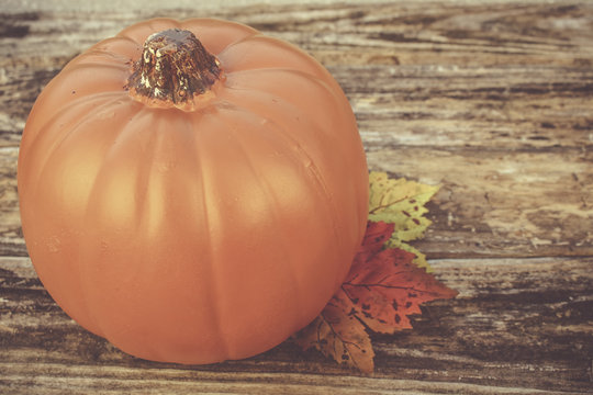 Image of an Autumn Pumpkin
